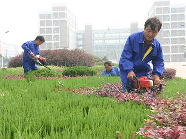綠化養(yǎng)護(hù)
